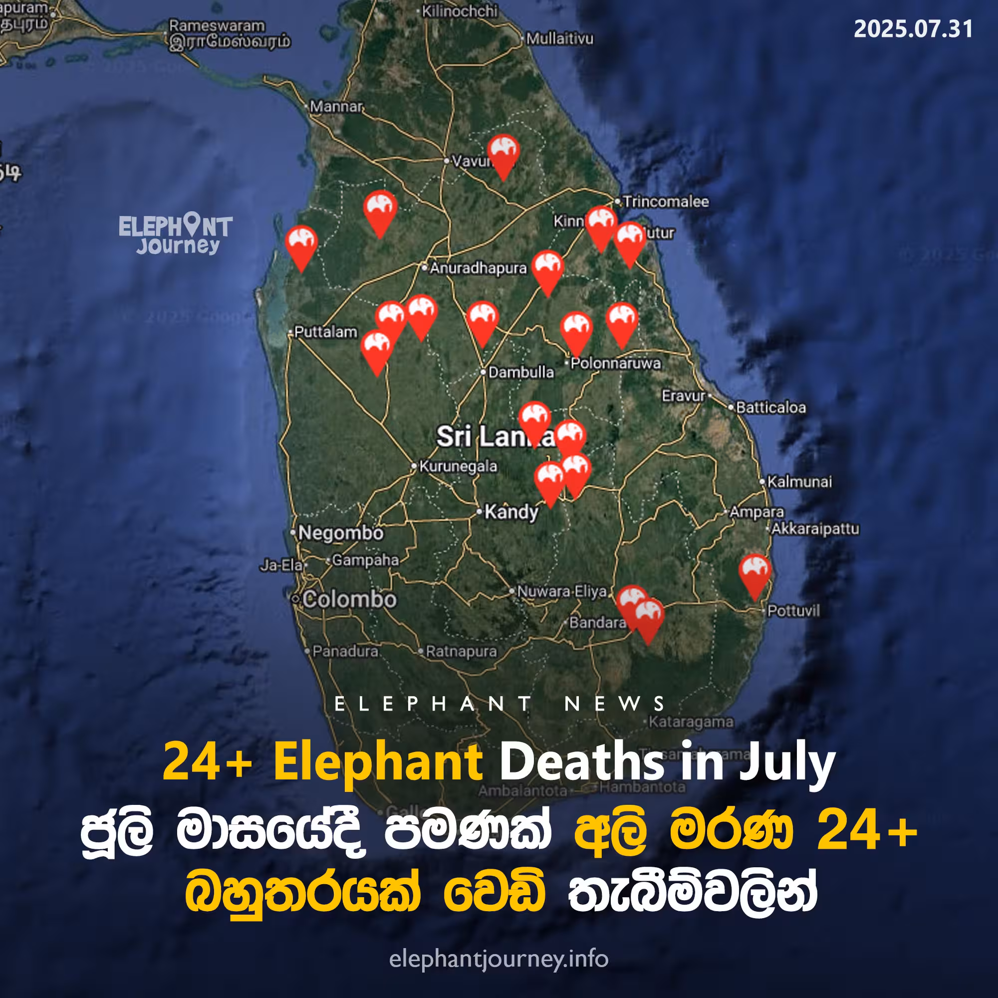 ජූලි මාසයේදී අලි මරණ 24 ඉක්මවයි