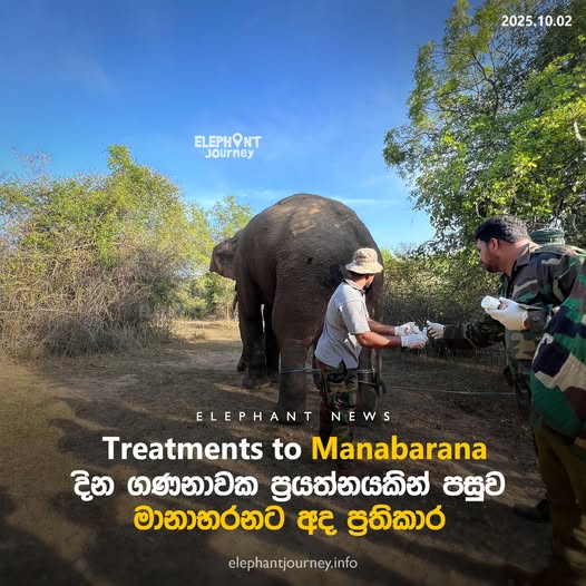 Manabharana Treated After Days of Struggle