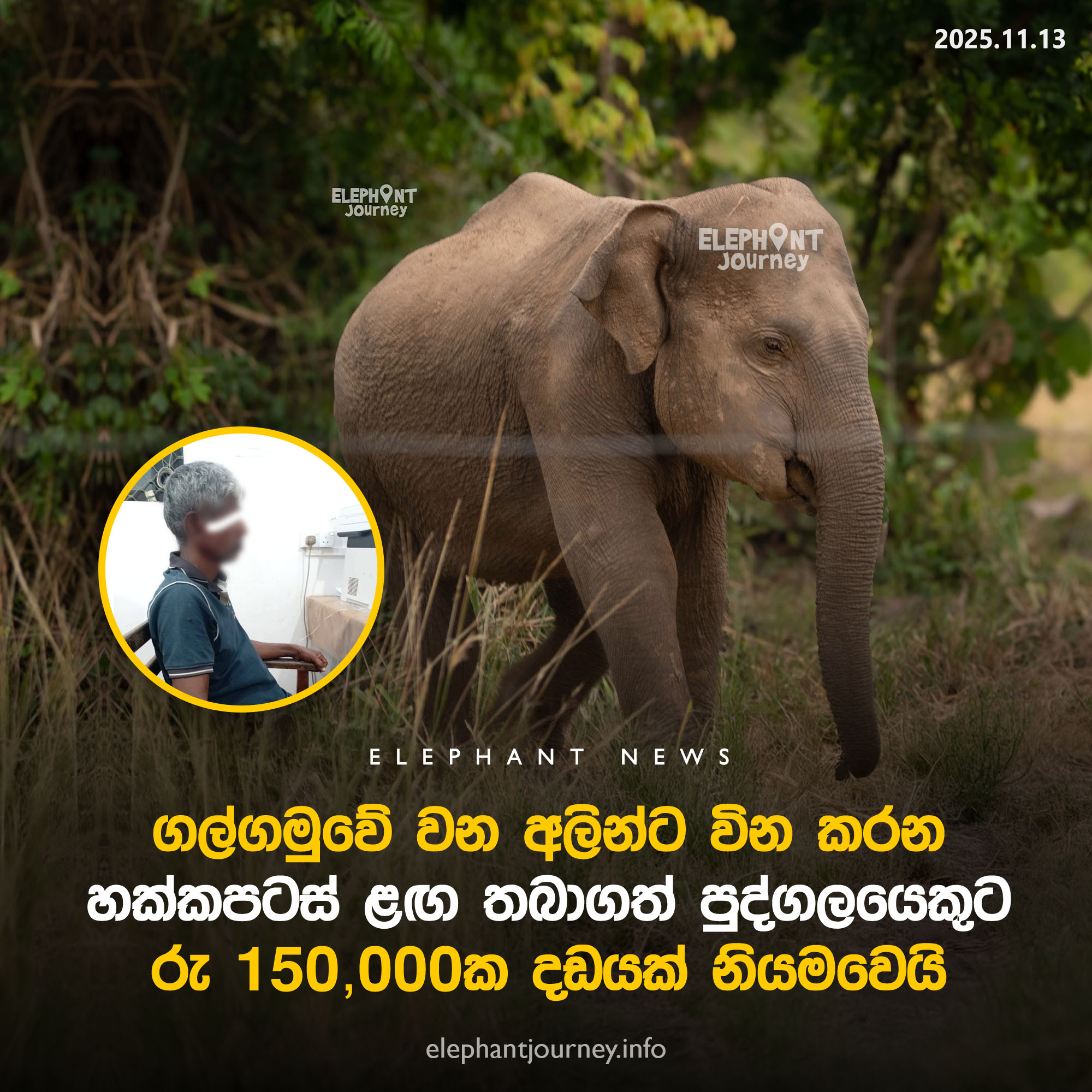 Court Fines Suspect for Using Hakkapatas