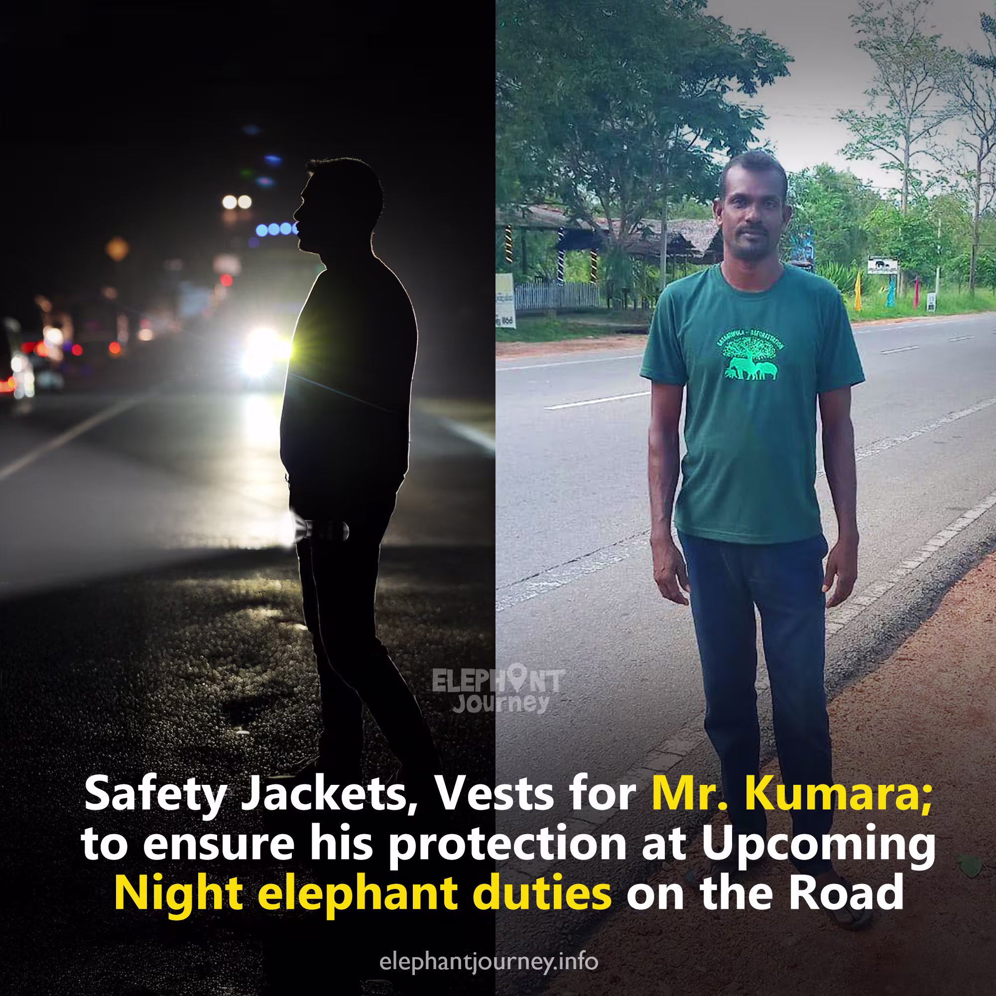 ගැටදිවුලේ අලි කුමාරට ආරක්ෂාවක්