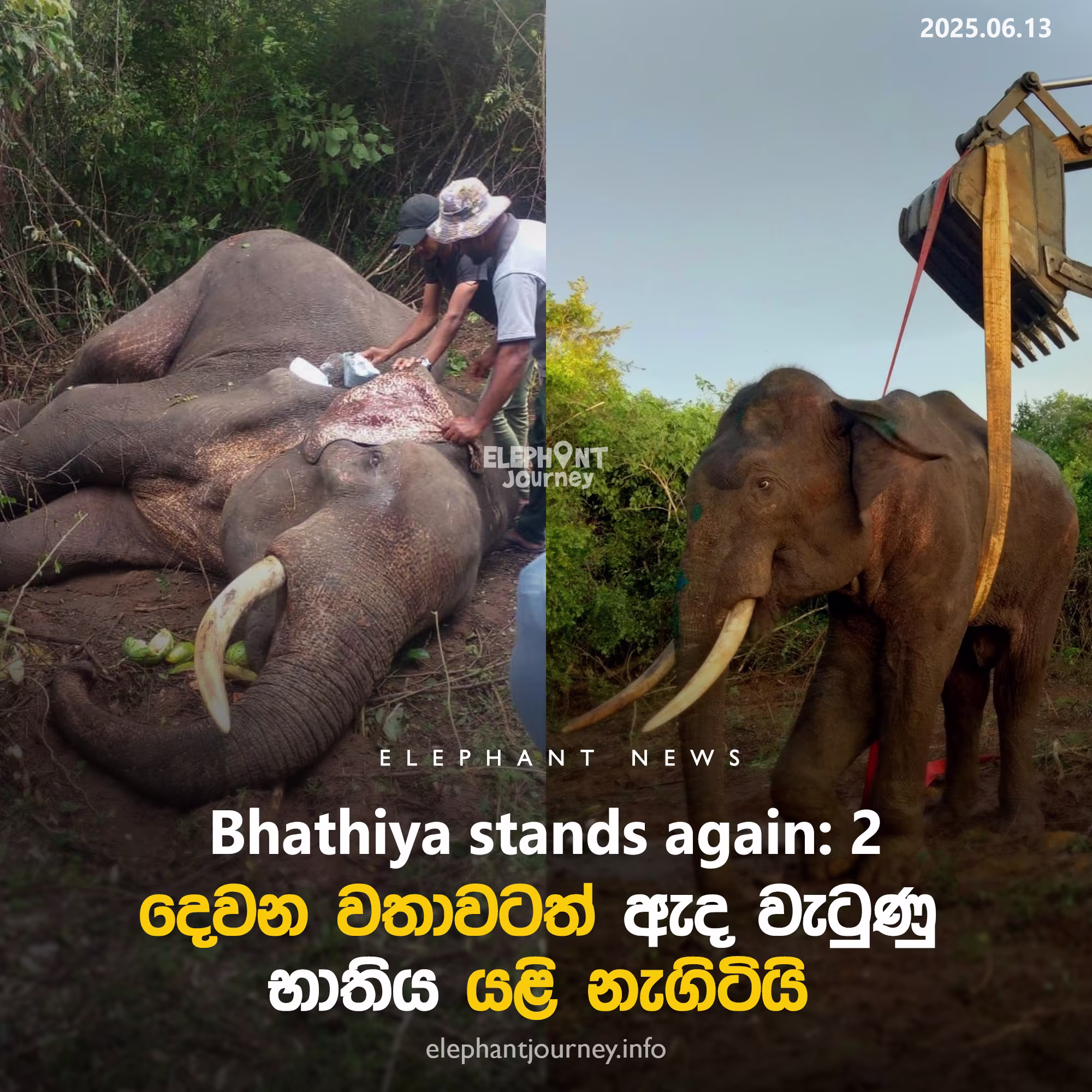 දෙවන වතාවටත් වැටී නැගිට සිටි භාතිය