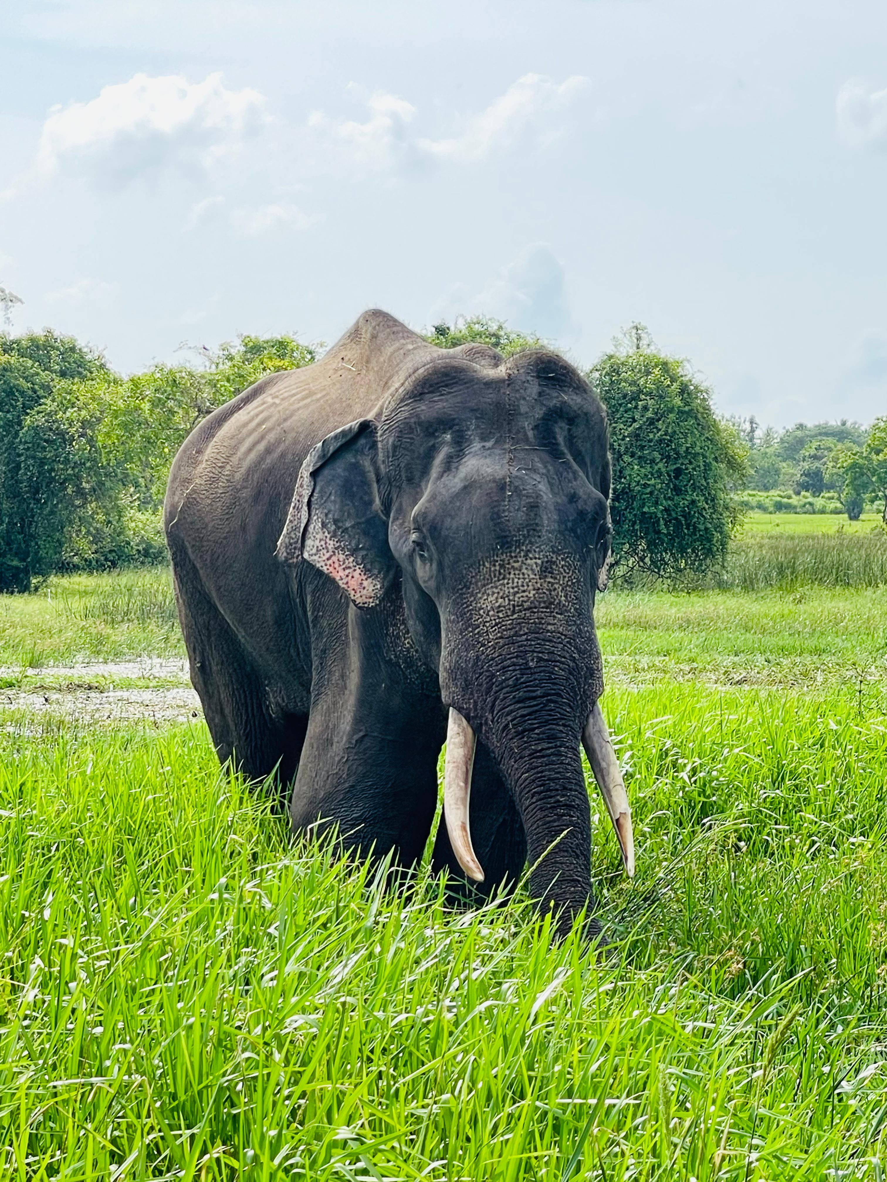 Successfully Lifted with Help