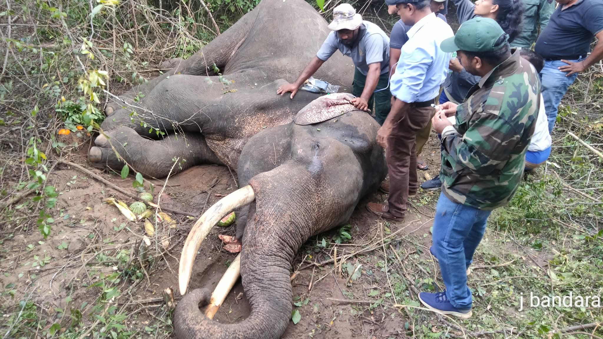 Unable to Eat on His Own