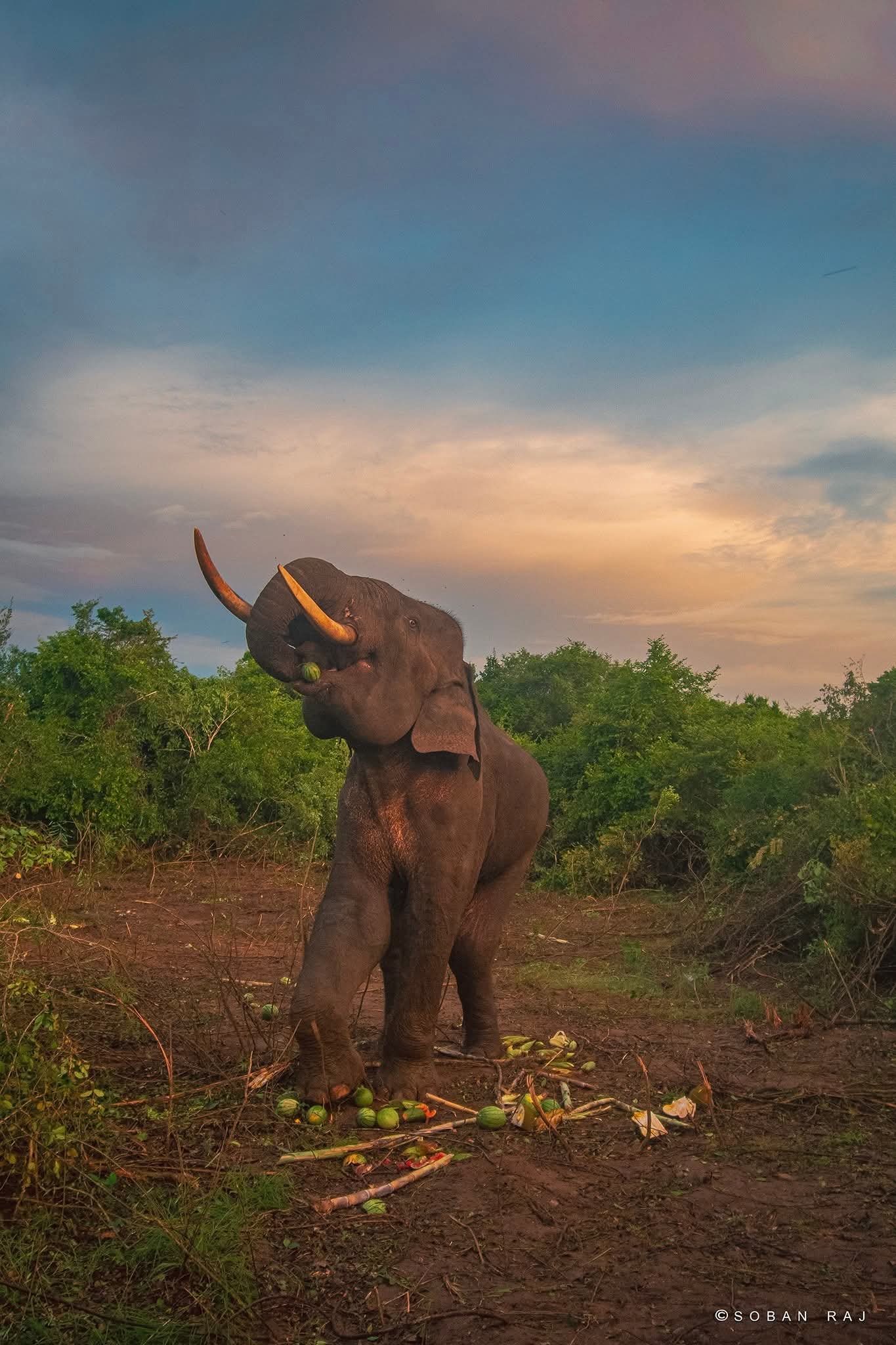 Lifted and Eating Again