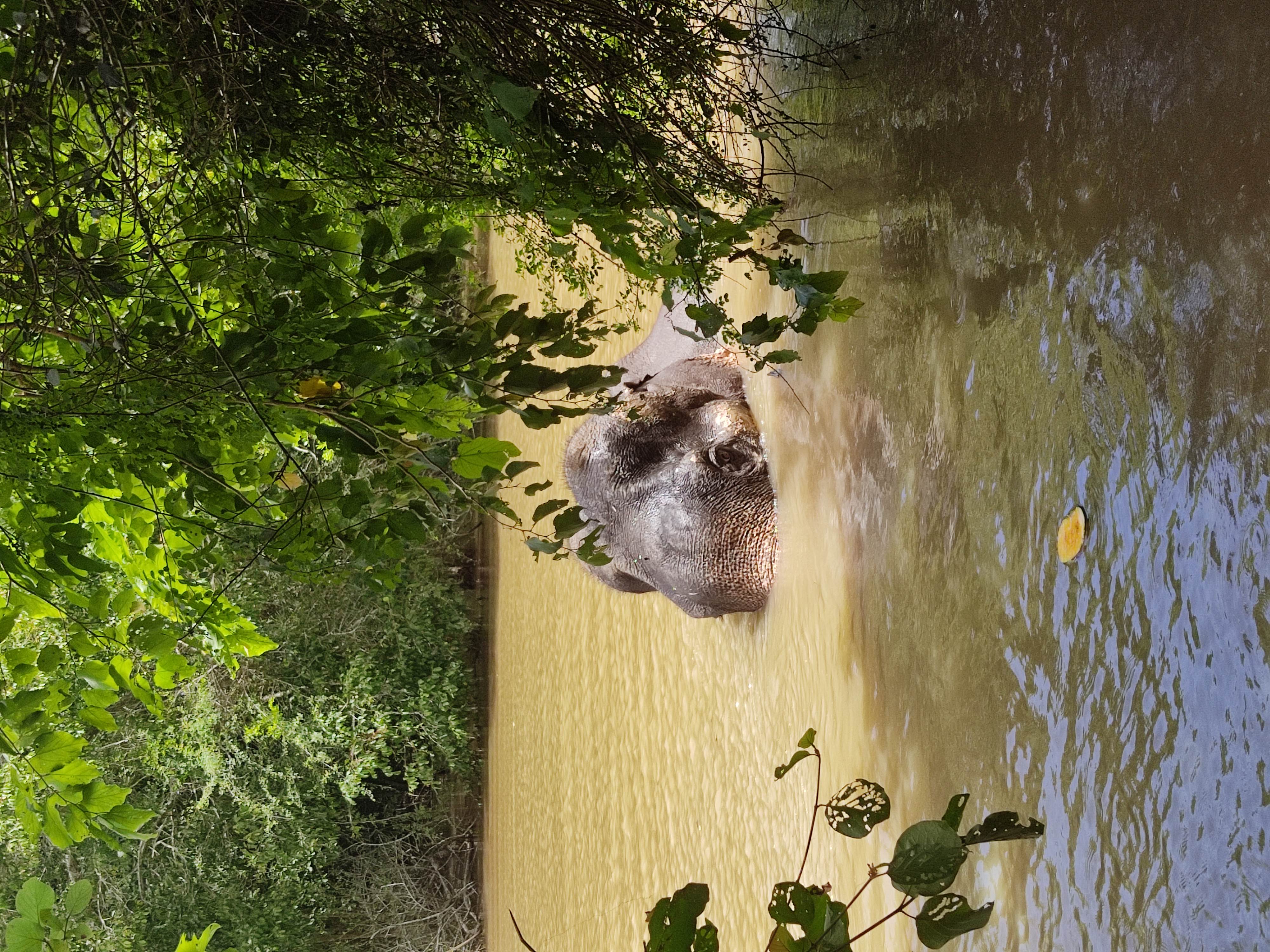Back in Water, Receiving Food