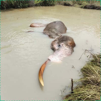 Condition Worsens in Water Pit