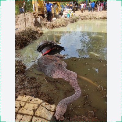 Wounds Discovered, Position Changed